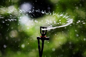 sprinkler